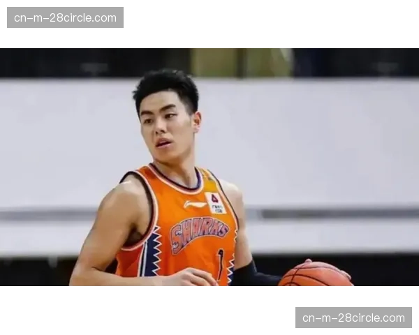 上海李弘权李添荣国产双枪，三分命中率均超40%稳定